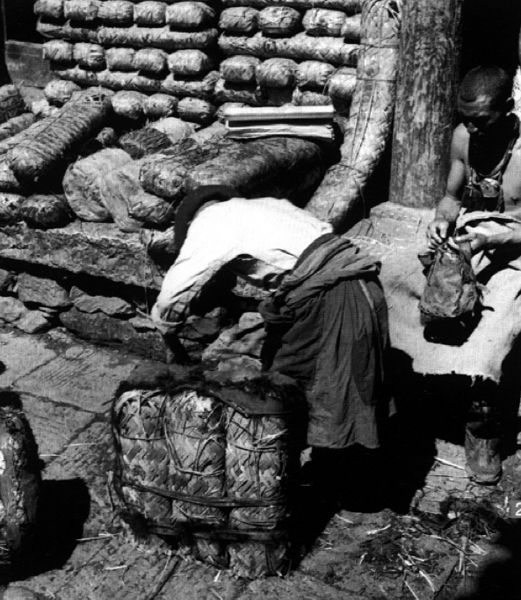 从康定开始一路都是绝美风景,从康定到新都桥景色视频