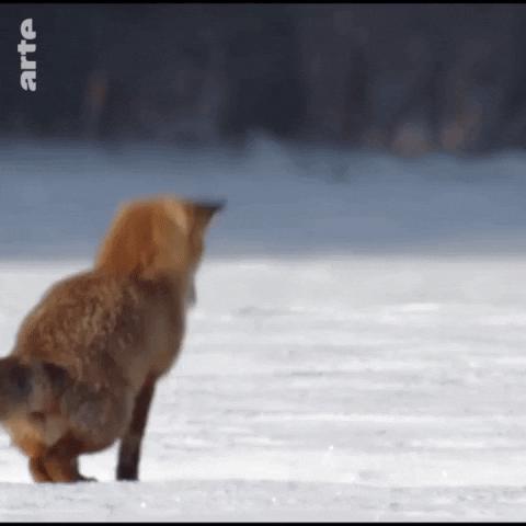 蹇箰鑻辫鍚挋鍗曡瘝,鑻辫蹇箰瀛︿範鍗曡瘝