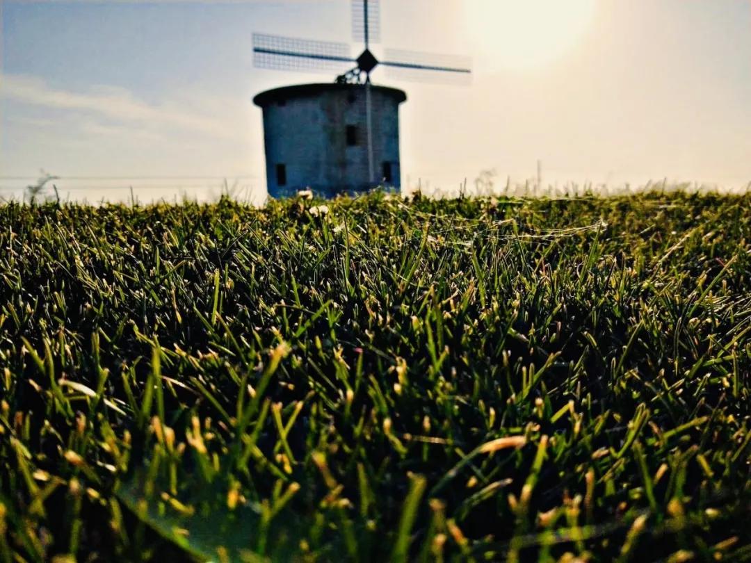 天气热去新疆避暑,塔城冬季游玩