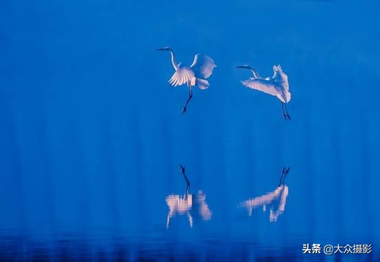 砀山英雄会,芒砀山英雄会