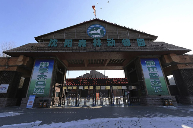 沈阳亲子游游玩景点推荐,沈阳周边有哪些适合亲子游的地方