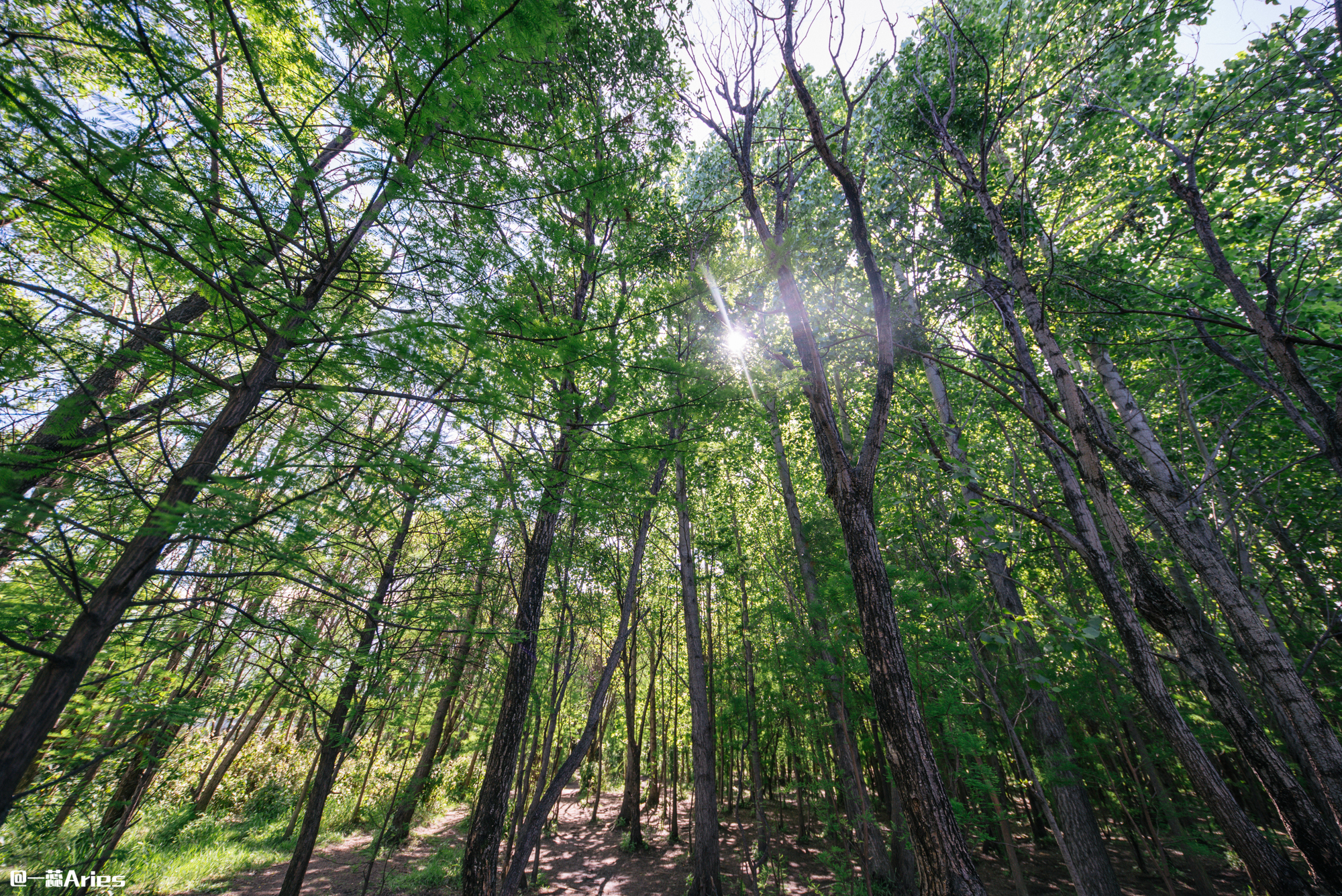 大理环洱海自驾游最佳攻略,大理环海岸线自驾游