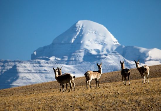 国旅欧洲旅游怎么样,国旅去大西北旅游攻略