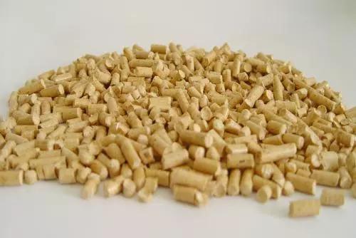 你绝对不知的「垃圾分类」技巧（宠物篇）