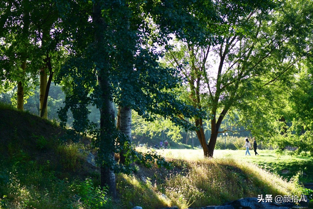 北京圆明园一日游推荐,圆明园秋色如画