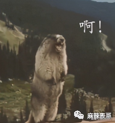 迷惑，《浪姐2》这是在干嘛？？？确定不是农村婚宴演出？