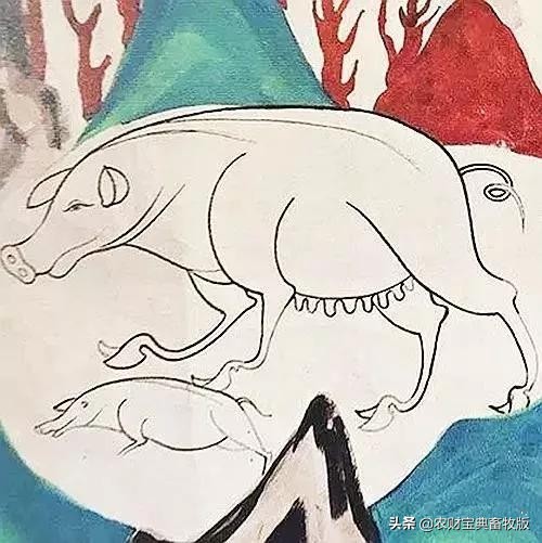 教你如何画猪,来一个画猪教程