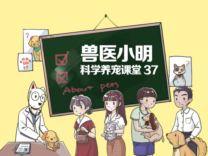 狗狗得了湿疹涂什么,狗狗得了湿疹能不能洗澡