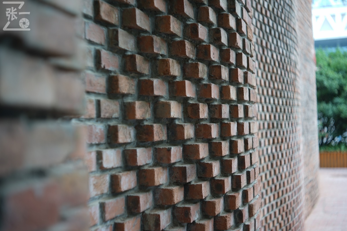 适合索尼a7m4的50定焦镜头测评,索尼a7m4镜头24-105f4测评