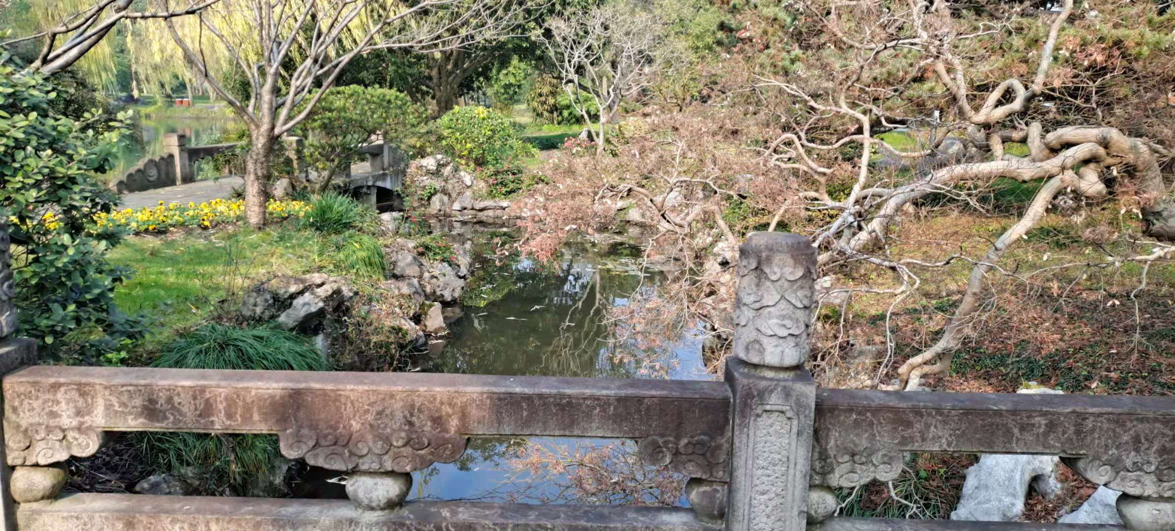 西湖国宾馆周边美景,西湖国宾馆风景