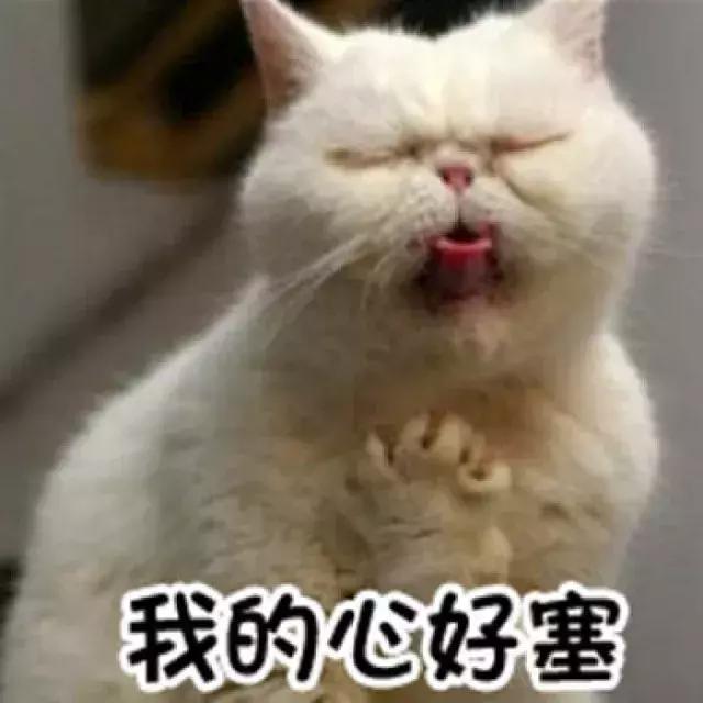 学姐神吐槽：在英国千万别做什么？看完我笑了