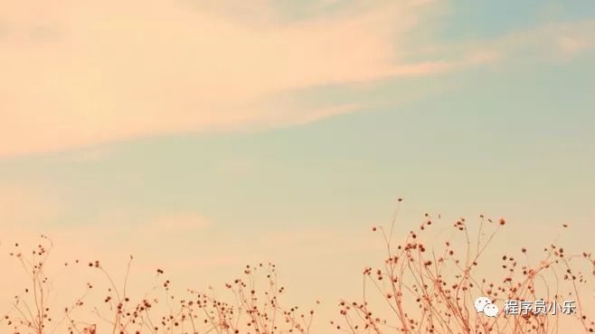 chrome浏览器的广告拦截插件,chrome广告插件怎么去除