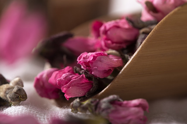 她做保姆这些年之豪门生活完整版,她做保姆这些年豪门生活267集完整