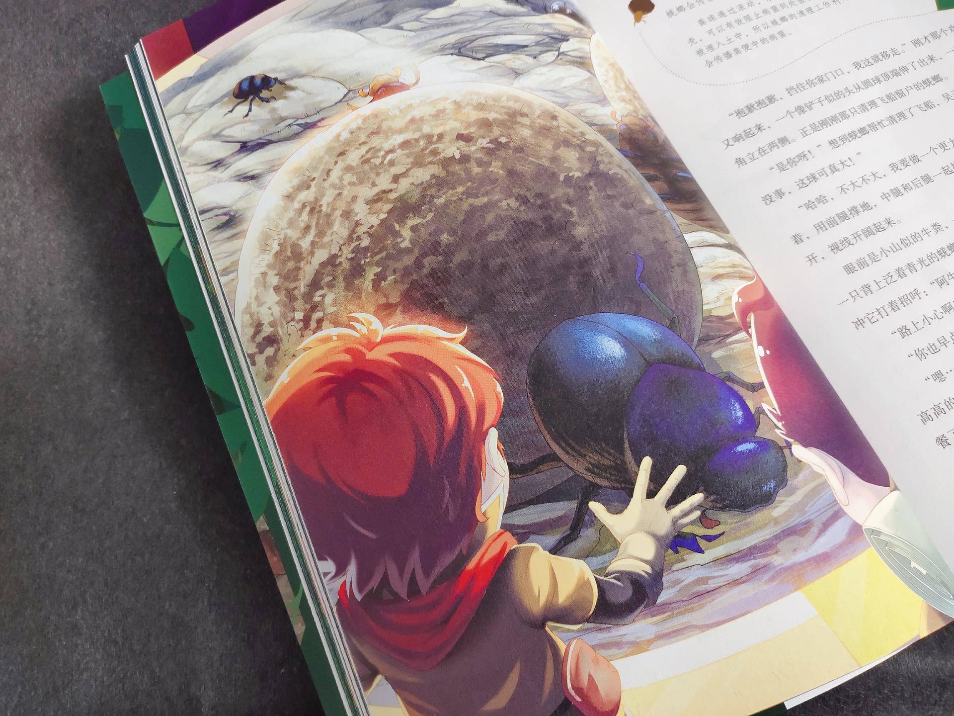 适合陪小孩一起看的书,适合孩子读的童书