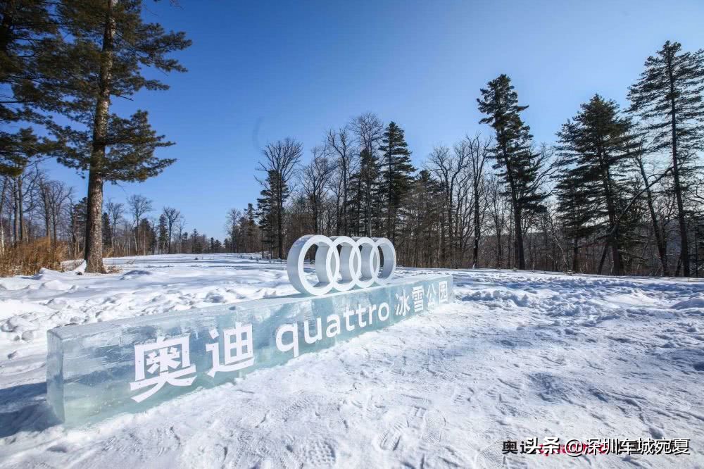 奥迪quattro冰雪试驾,奥迪quattro四驱雪地真实表现