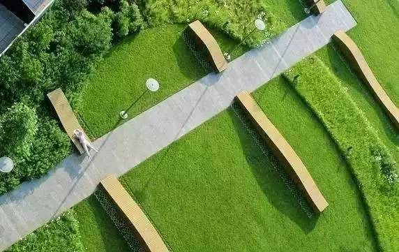 花园草坪怎么种植,花园草坪的种植与养护经验大总结