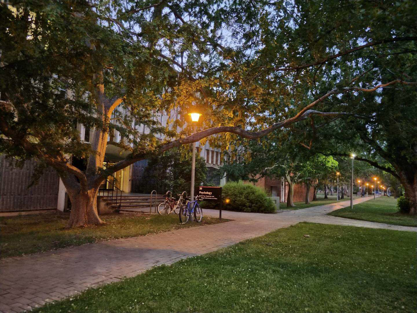 适合澳大利亚工作移民的专业,澳洲紧缺专业就业