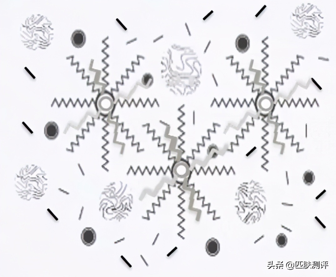 galenic美白精华测评,美白抗衰精华推荐大牌