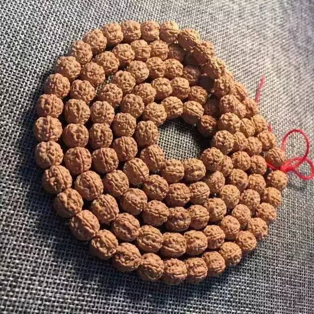 小金刚菩提最终是怎么样的,小金刚菩提子怎么看是真是假