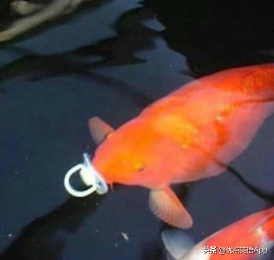 讽刺与幽默：你知道老美是怎么调侃他们的乡下人的吗？