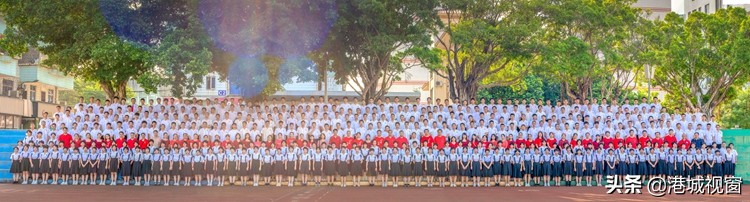 2022湛江培才一中成绩,湛江培才一中高考率