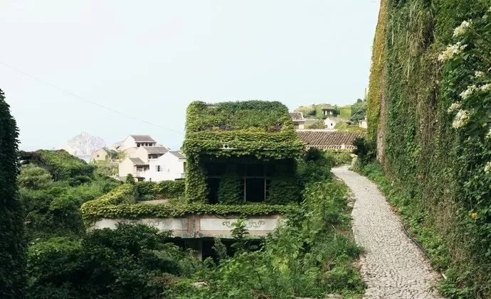 养心养肺之旅,静心养肺养心