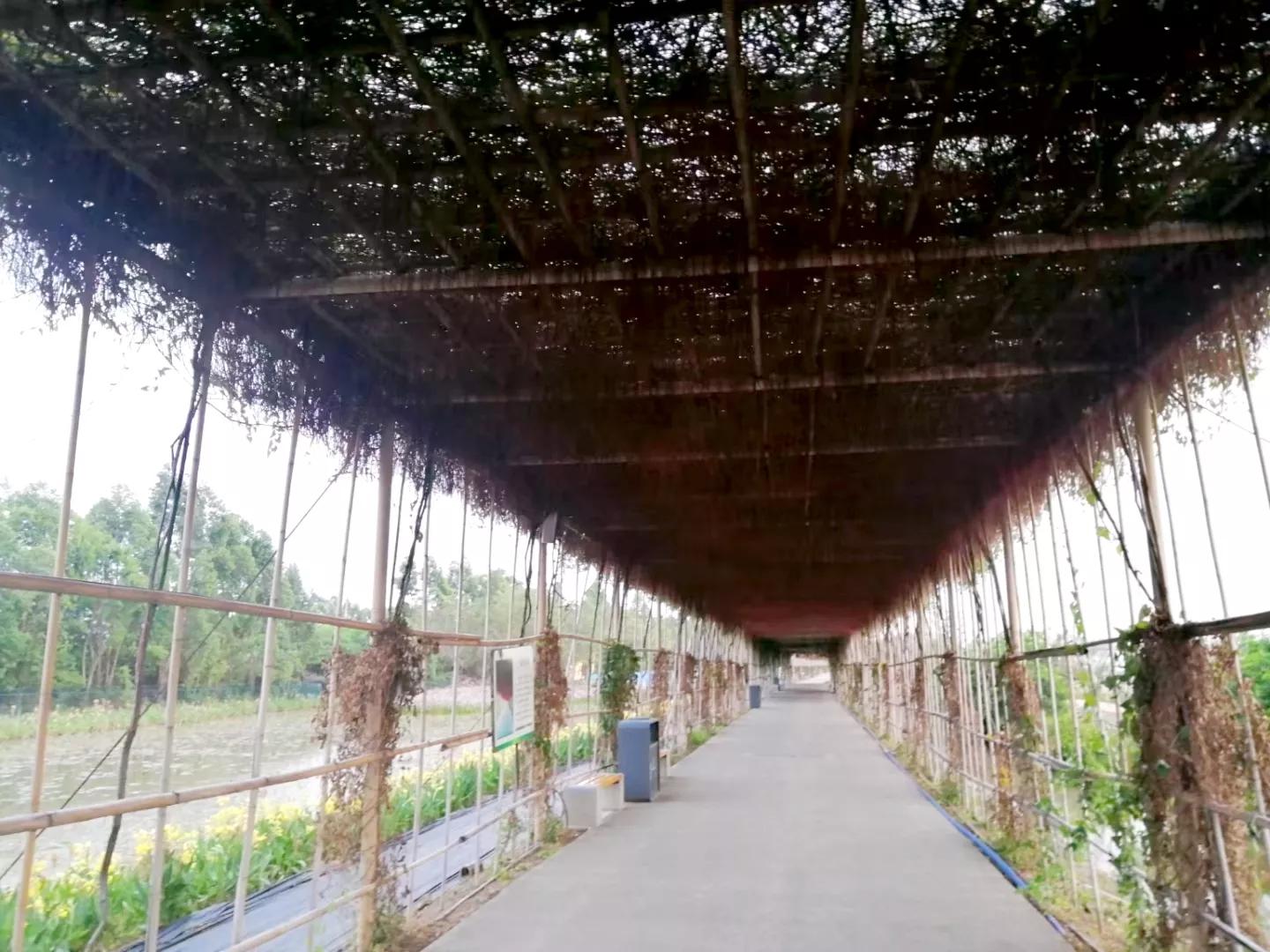 广州地铁3号线旅游攻略图,广州番禺广场地铁站旅游攻略