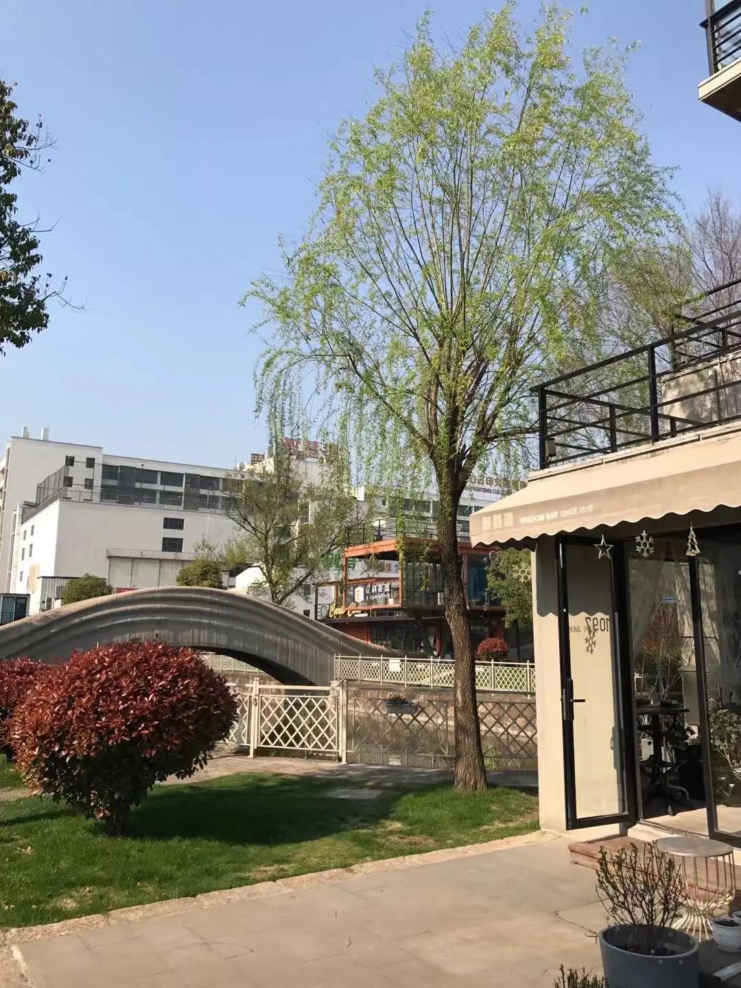 智慧湾生态公园,智慧湾智力公园