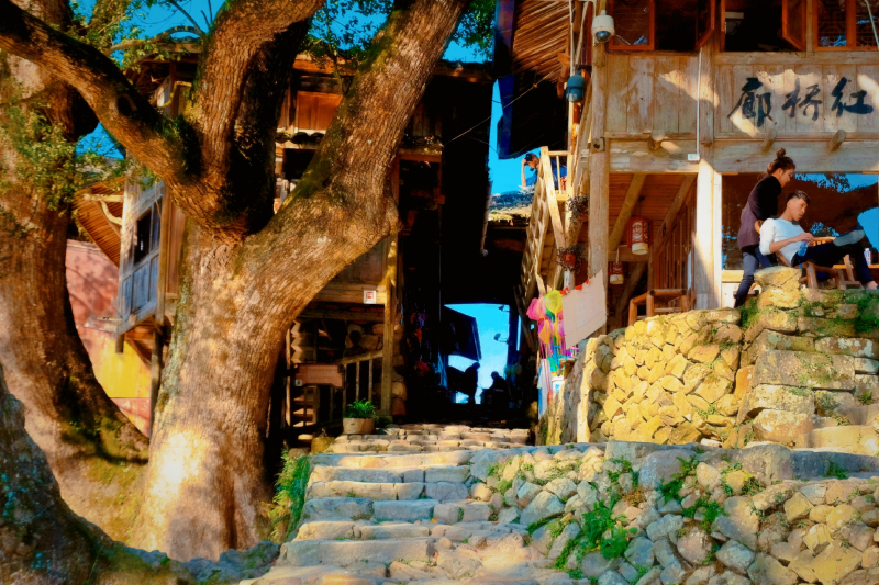 温州文成自驾游攻略最佳路线推荐,温州旅游攻略泰顺路线推荐