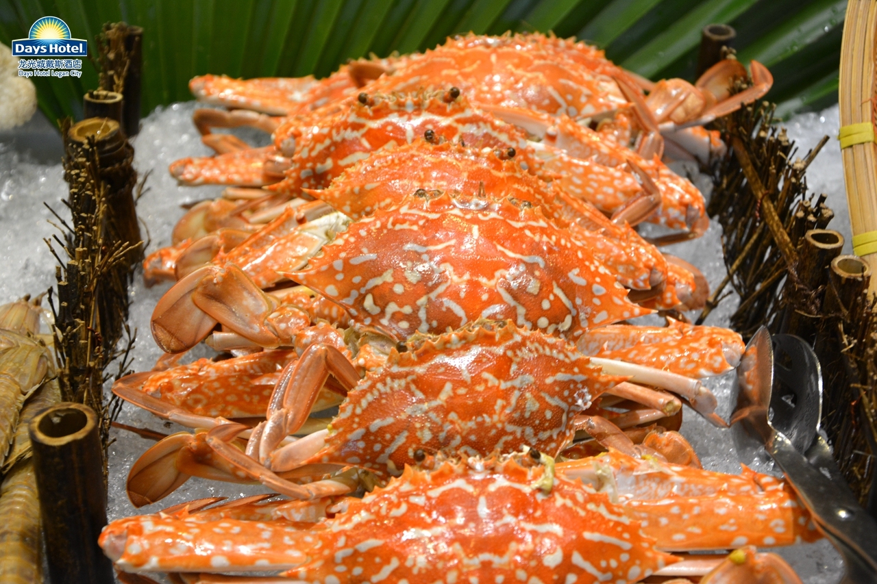 周末2日游广东,惠州2天1夜旅游大亚湾