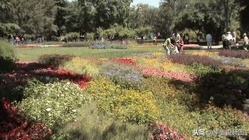 索尼dvd805e摄像机,索尼rx550e摄像机