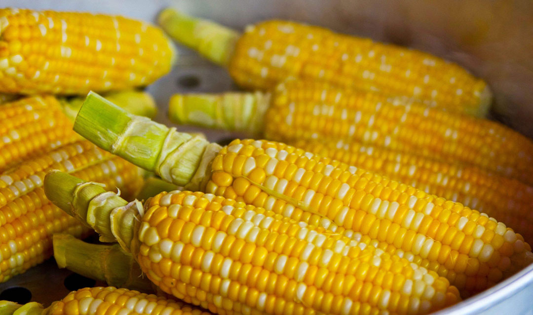 两个月暴瘦50斤食谱,2个月瘦40斤的方法靠饮食