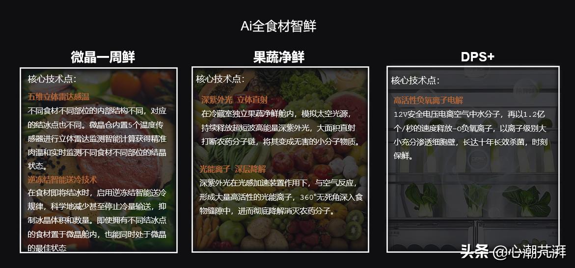 日系德系冰箱对比,德系和日系冰箱哪个好