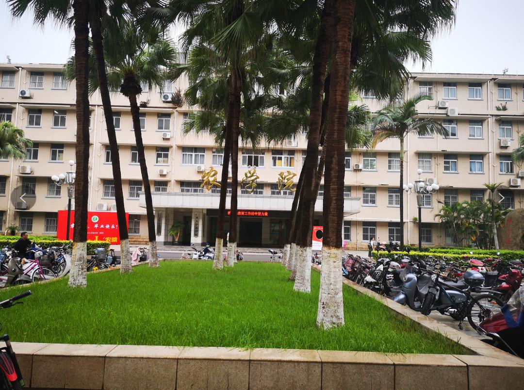 广西大学变化历史,广西大学文科毕业的你后来咋样了