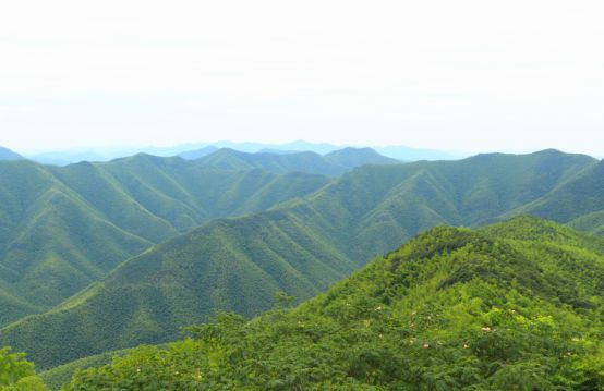 竹海宜兴游学,宜兴竹海游玩一般需要多少时间