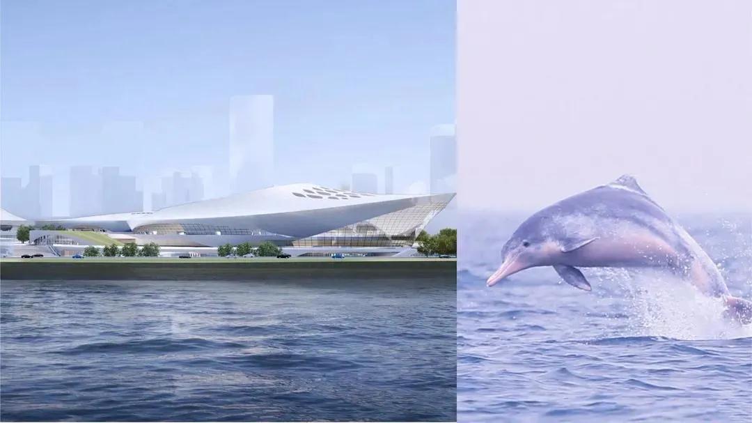 白鹭体育场亚洲杯,白鹭体育场近期赛事