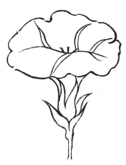 牡丹切瓣花国画画法,国画山茶花花瓣画法