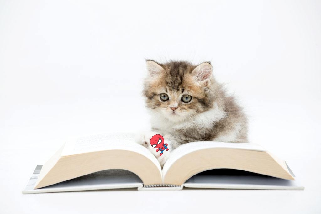 小学语文关联词怎么复习,小学语文关联词应用技巧