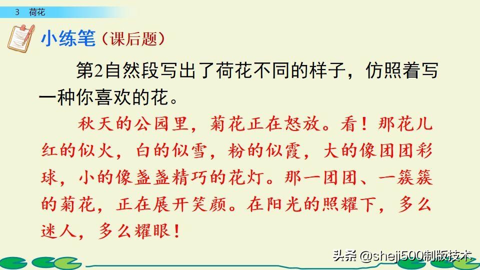 部编版三年级下册语文3荷花讲解,三年级下册部编语文荷花教学视频