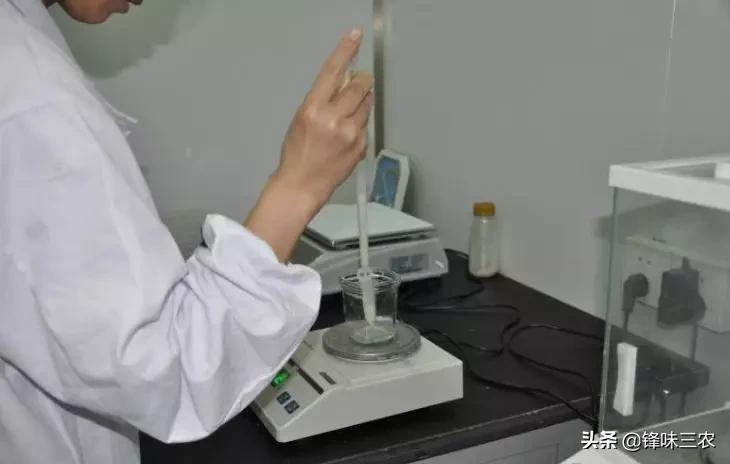 探秘山东最大羊奶厂！羊奶到底有没有膻味？