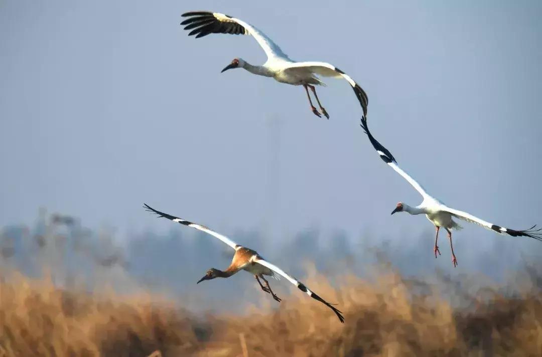 换一个角度看世界风景不同的美,换一个角度看美景