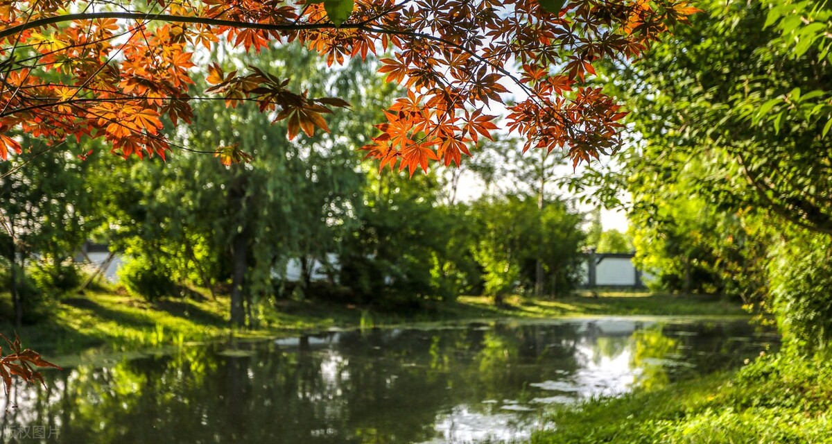 庄子外物原文及译文,庄子胠箧原文及译文