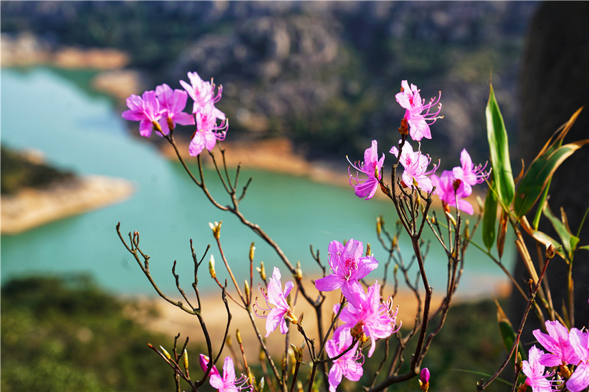 江南水乡旅游攻略四天三晚,温州旅行攻略四天三夜