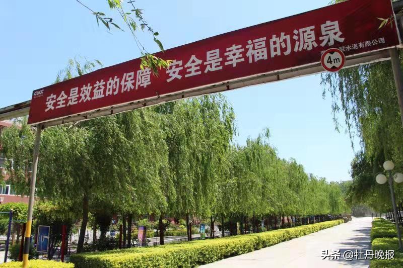 菏泽中联水泥有限公司地址,砥砺深耕创佳绩凝心聚力再出发