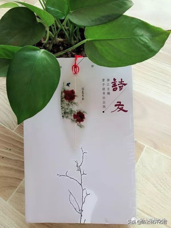 云中谁寄锦书来周悦,云中谁寄锦书来沈鱼