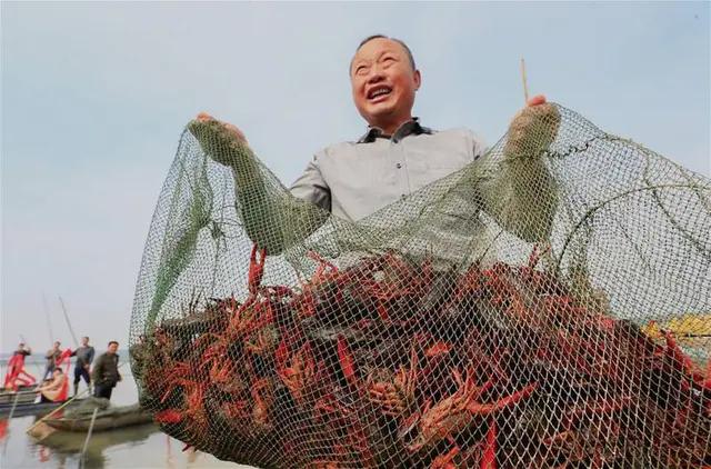 小龙虾怎么鲜活保湿,小龙虾怎么管理高产