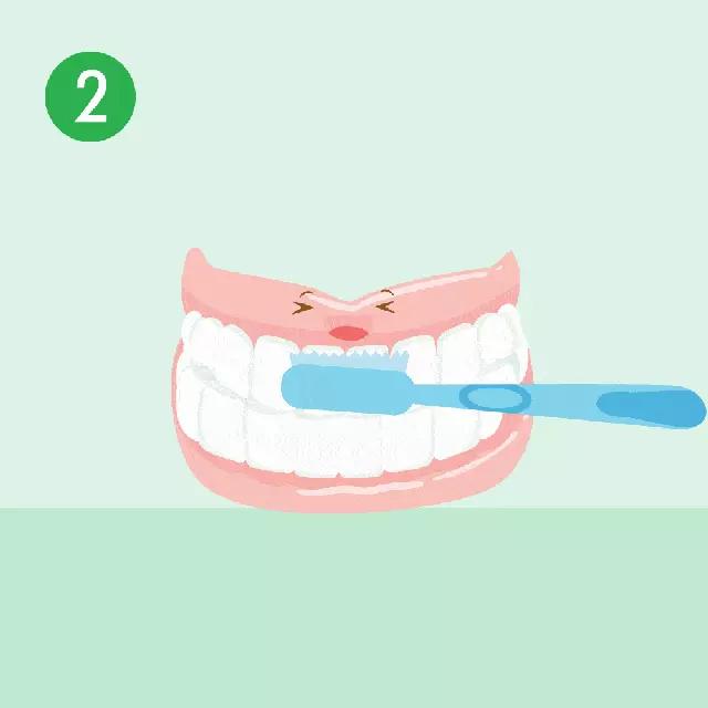 假牙洗不干净怎么办,假牙不经常清洗的后果