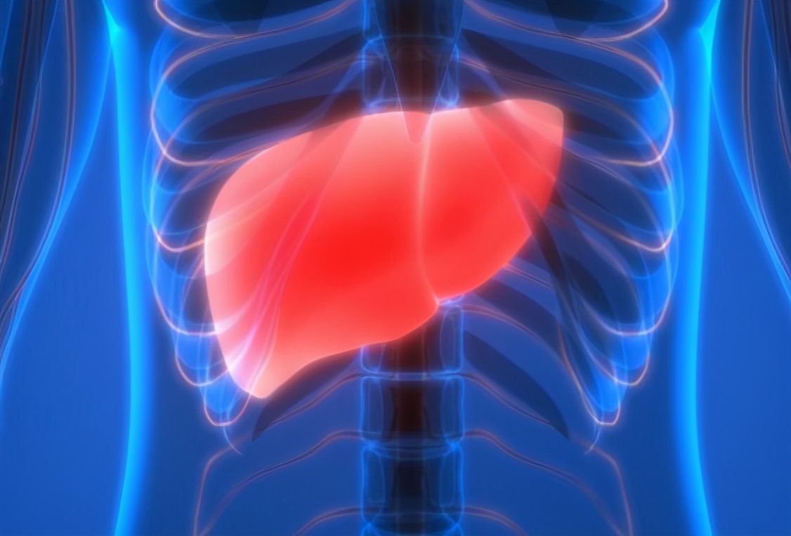 轻视「轻度脂肪肝」的人，后来怎么样了？科学家为此研究51年