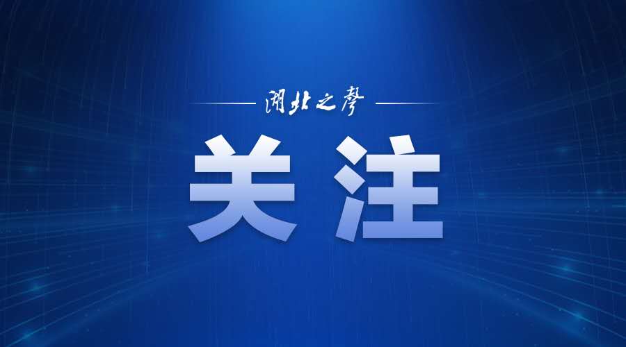 湖北加大防控力度,严把高速公路卡口关