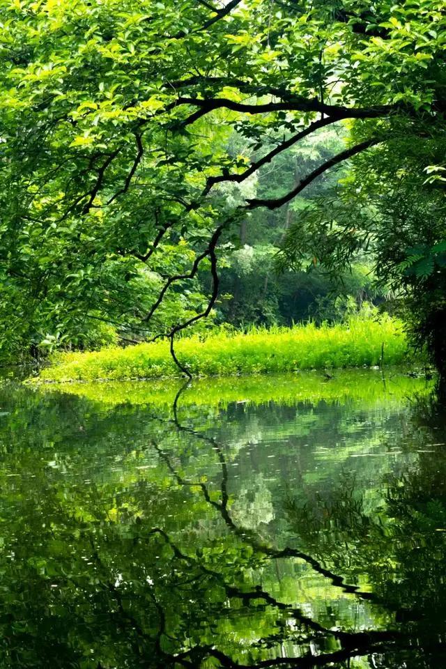 夏天在诗歌中的叫法,夏天的唯美诗词